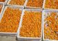 380 Máy sấy khô không khí nóng Apricot Vận hành và bảo trì dễ dàng