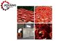 Máy sấy bơm nhiệt trái cây công nghiệp Ss Hệ thống sấy không khí nóng cà chua Cherry